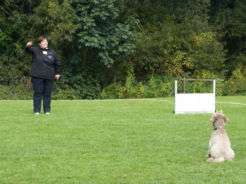 Obedience Prüfung 2015