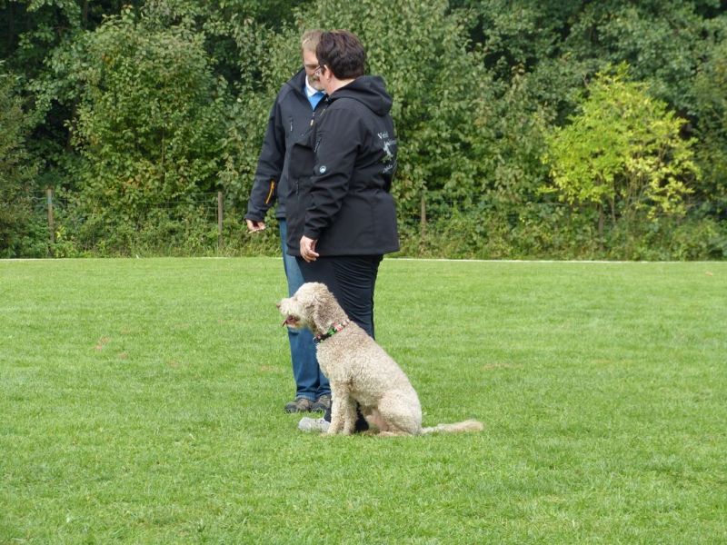 Obedience Prüfung 2015