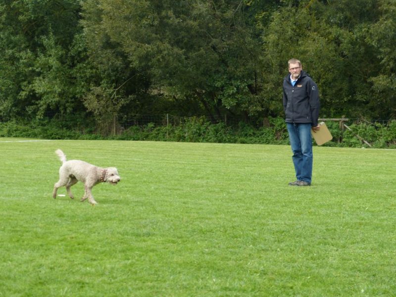 Obedience Prüfung 2015
