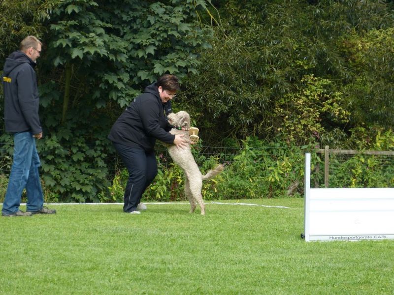 Obedience Prüfung 2015