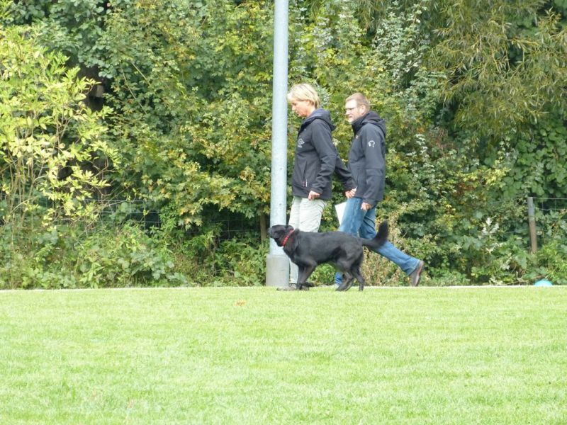 Obedience Prüfung 2015