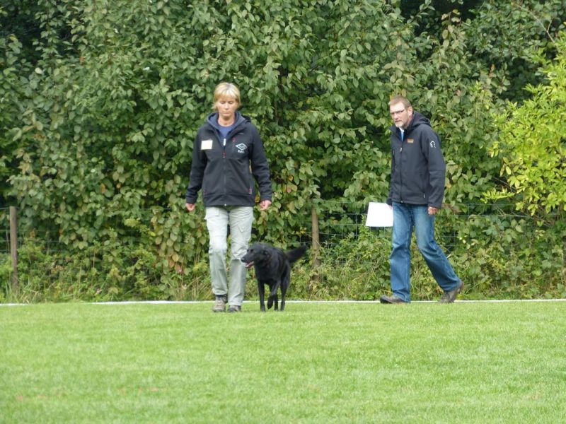 Obedience Prüfung 2015