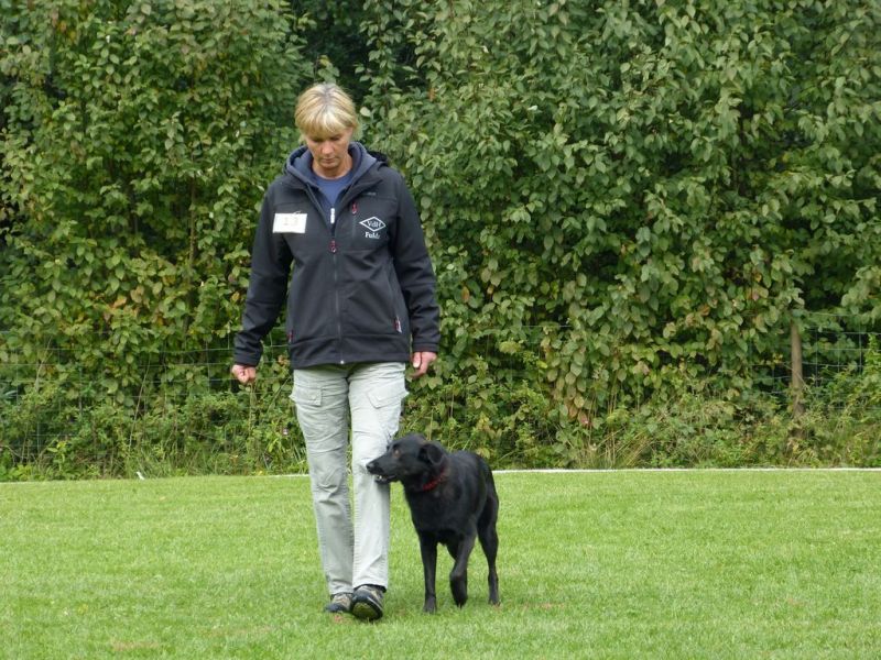 Obedience Prüfung 2015