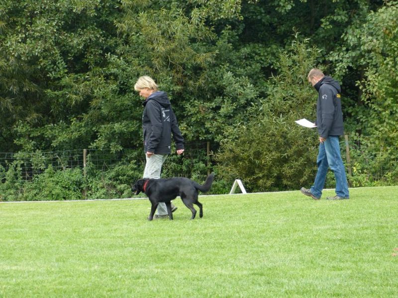 Obedience Prüfung 2015