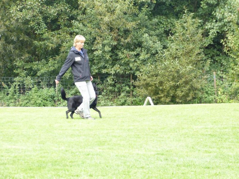Obedience Prüfung 2015