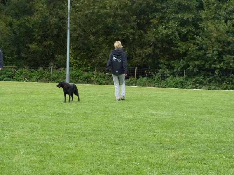 Obedience Prüfung 2015
