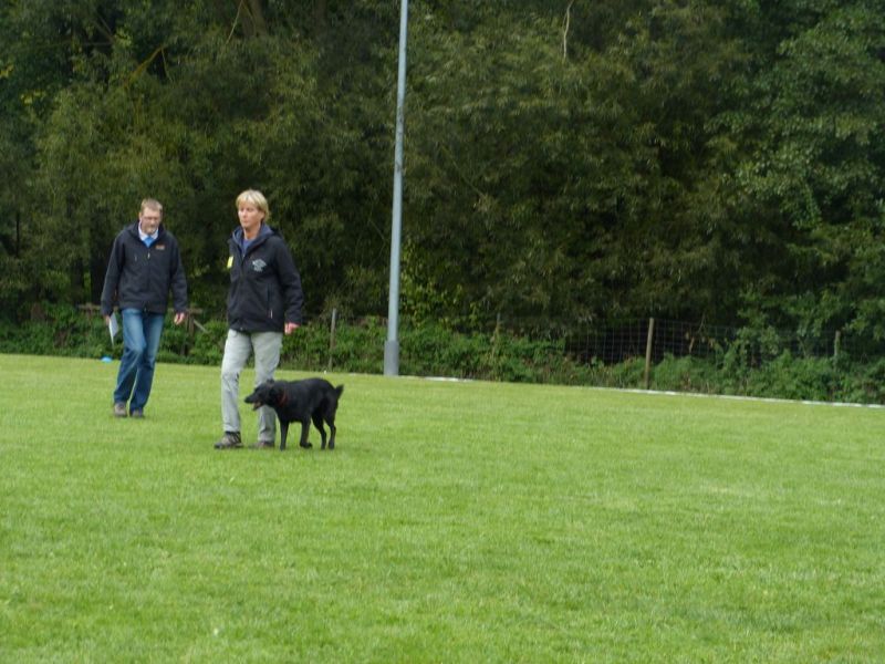 Obedience Prüfung 2015