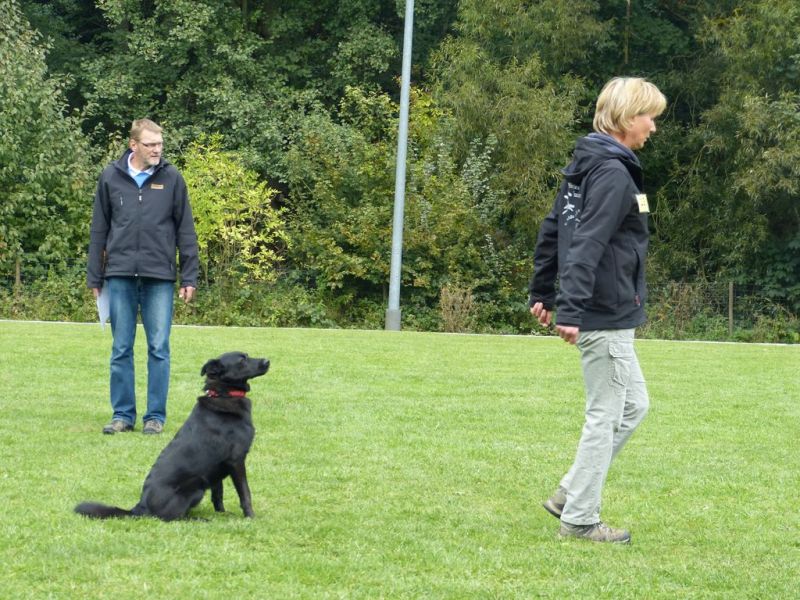Obedience Prüfung 2015
