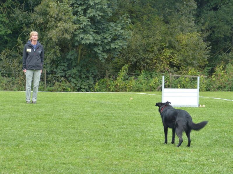 Obedience Prüfung 2015