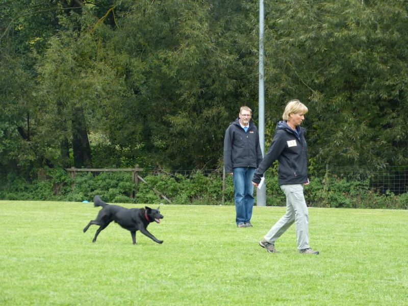 Obedience Prüfung 2015