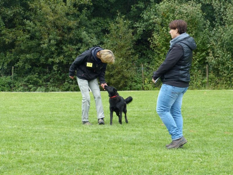 Obedience Prüfung 2015
