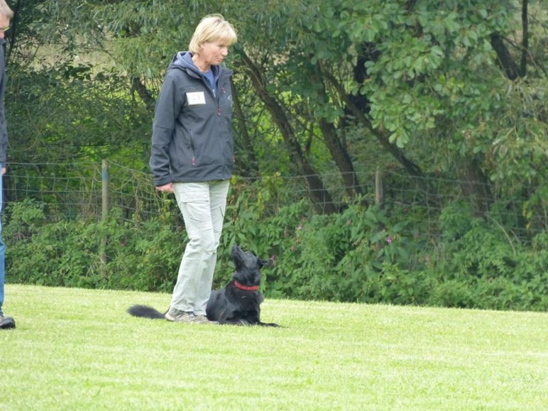 Obedience Prüfung 2015