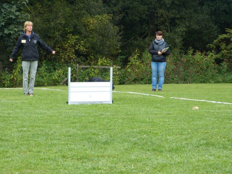 Obedience Prüfung 2015