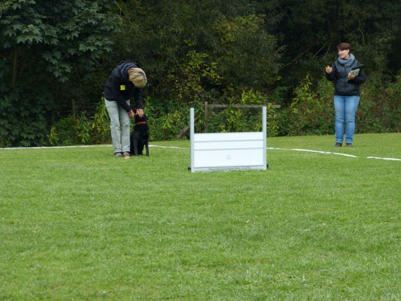 Obedience Prüfung 2015