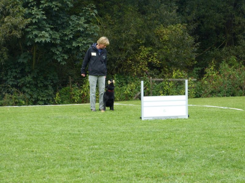 Obedience Prüfung 2015