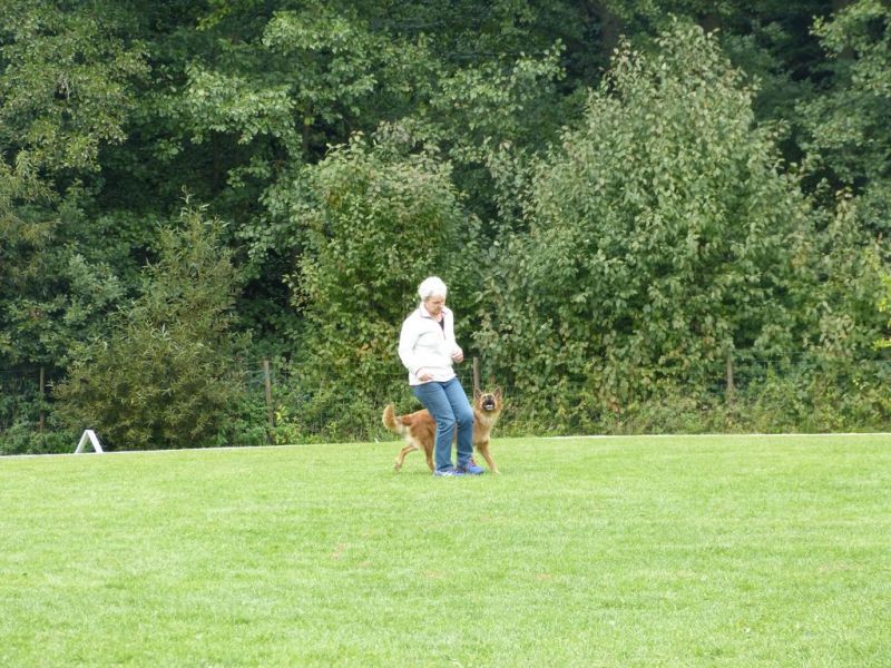 Obedience Prüfung 2015