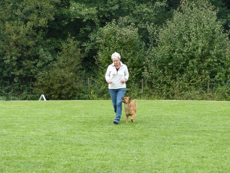Obedience Prüfung 2015