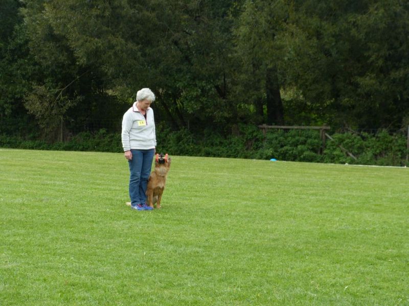 Obedience Prüfung 2015