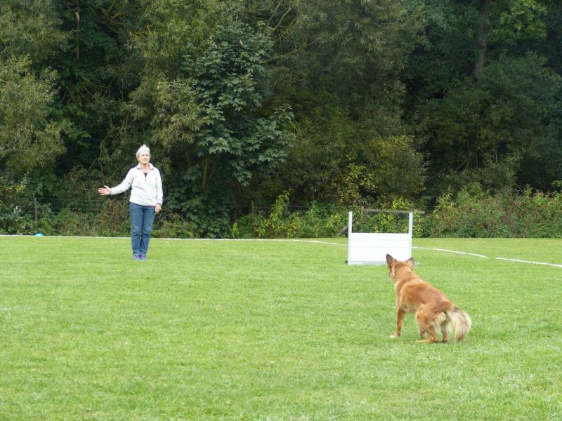 Obedience Prüfung 2015