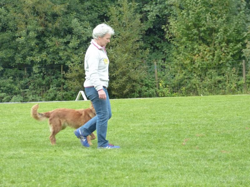 Obedience Prüfung 2015