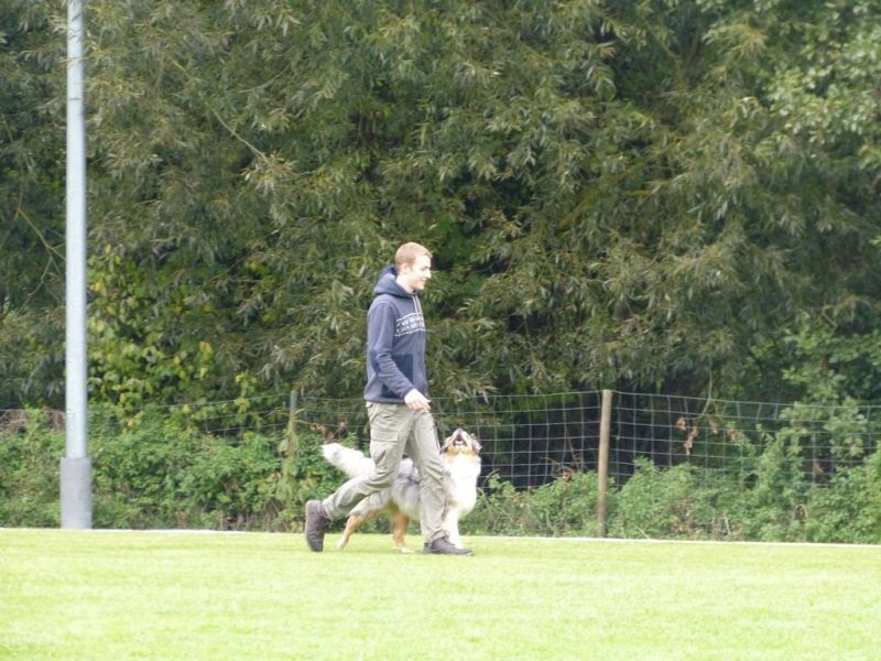 Obedience Prüfung 2015