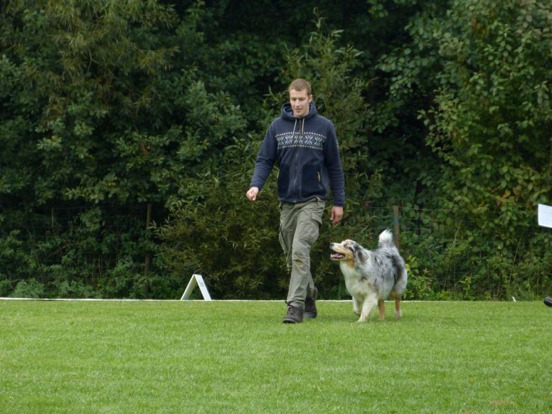 Obedience Prüfung 2015
