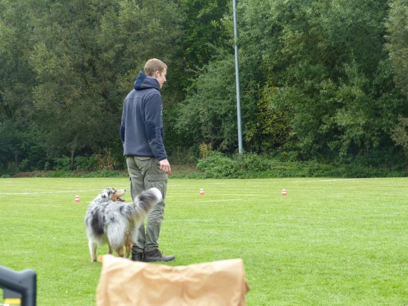 Obedience Prüfung 2015