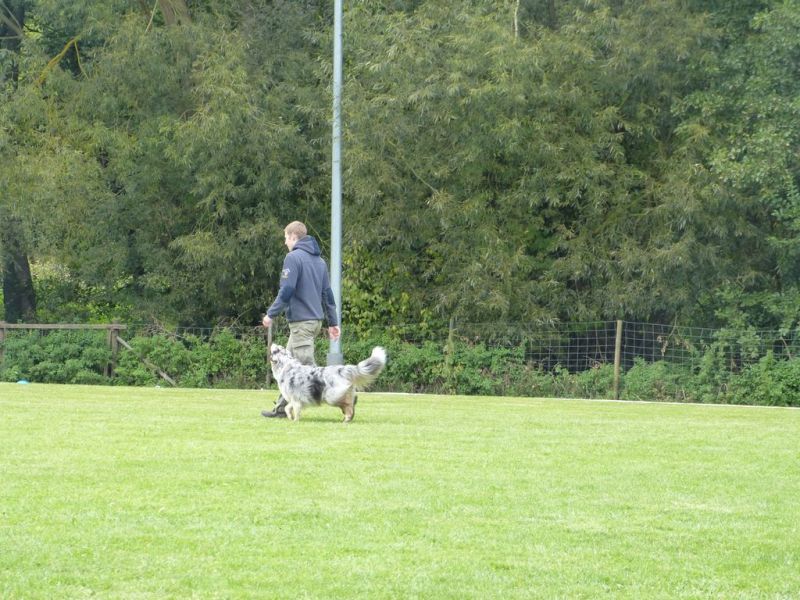 Obedience Prüfung 2015