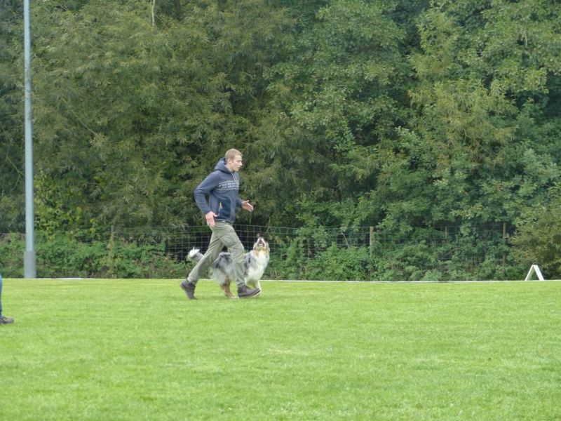 Obedience Prüfung 2015
