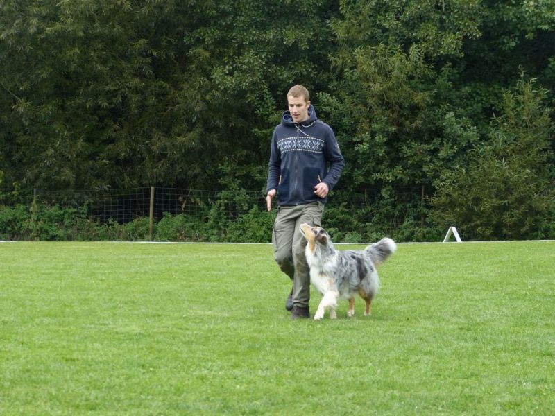 Obedience Prüfung 2015