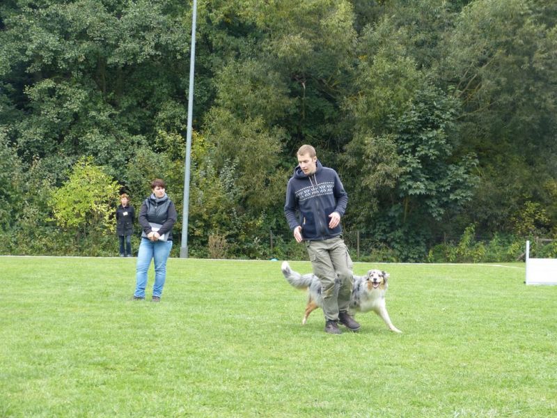 Obedience Prüfung 2015