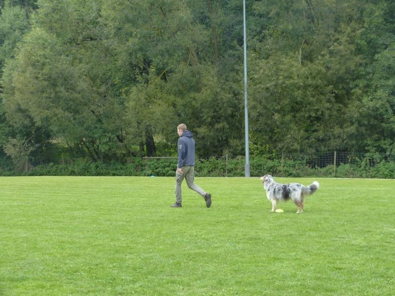 Obedience Prüfung 2015