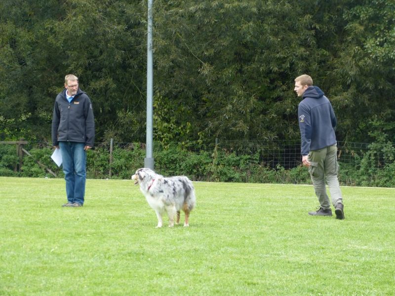 Obedience Prüfung 2015