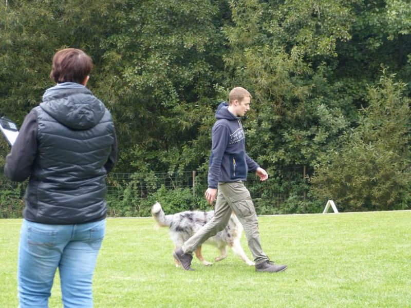 Obedience Prüfung 2015