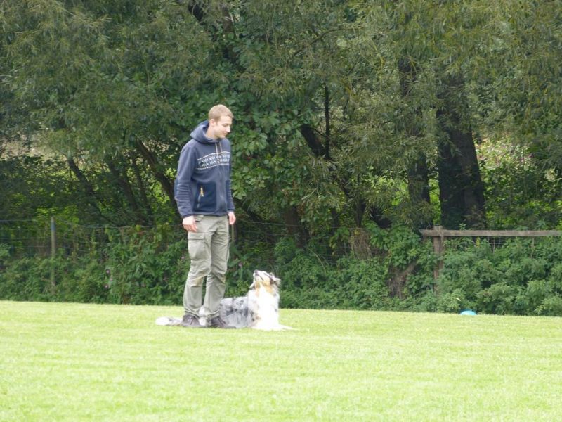 Obedience Prüfung 2015