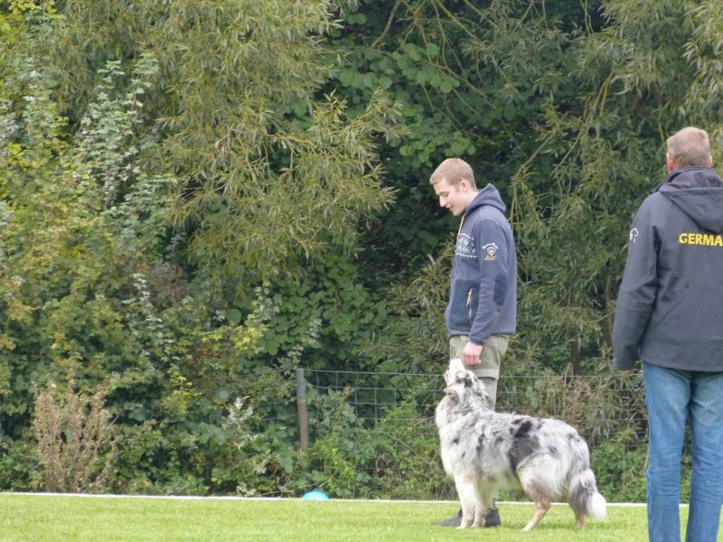 Obedience Prüfung 2015