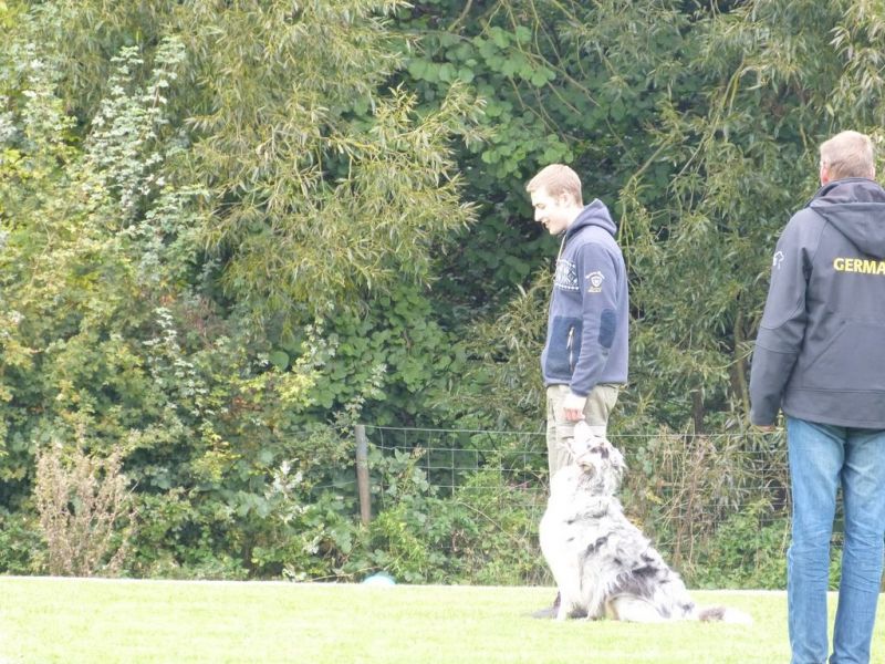 Obedience Prüfung 2015