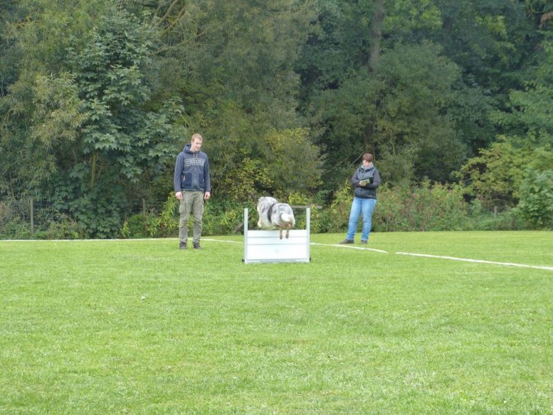 Obedience Prüfung 2015