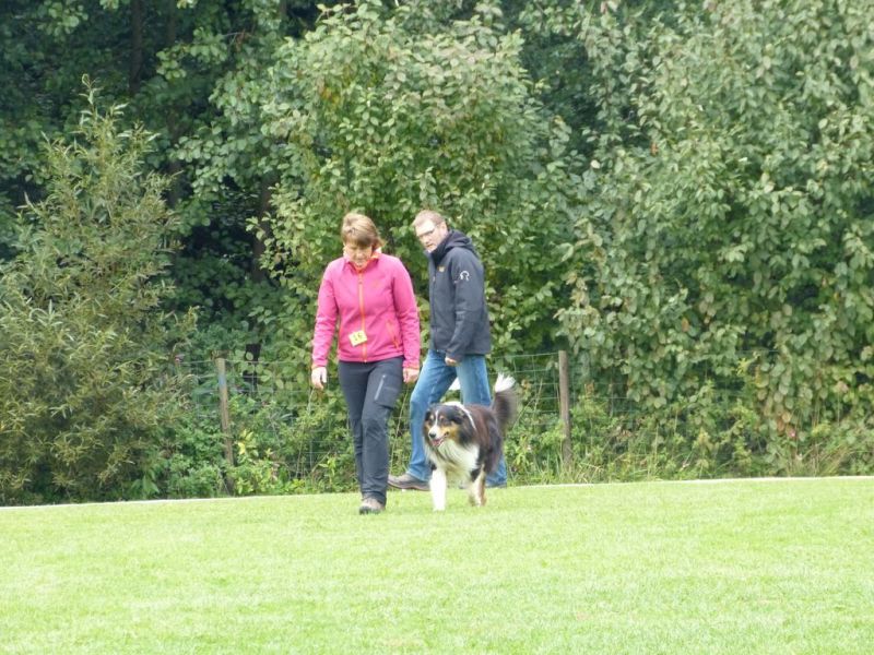 Obedience Prüfung 2015