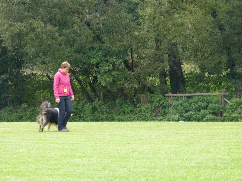 Obedience Prüfung 2015