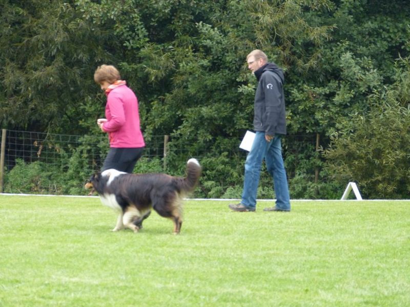 Obedience Prüfung 2015