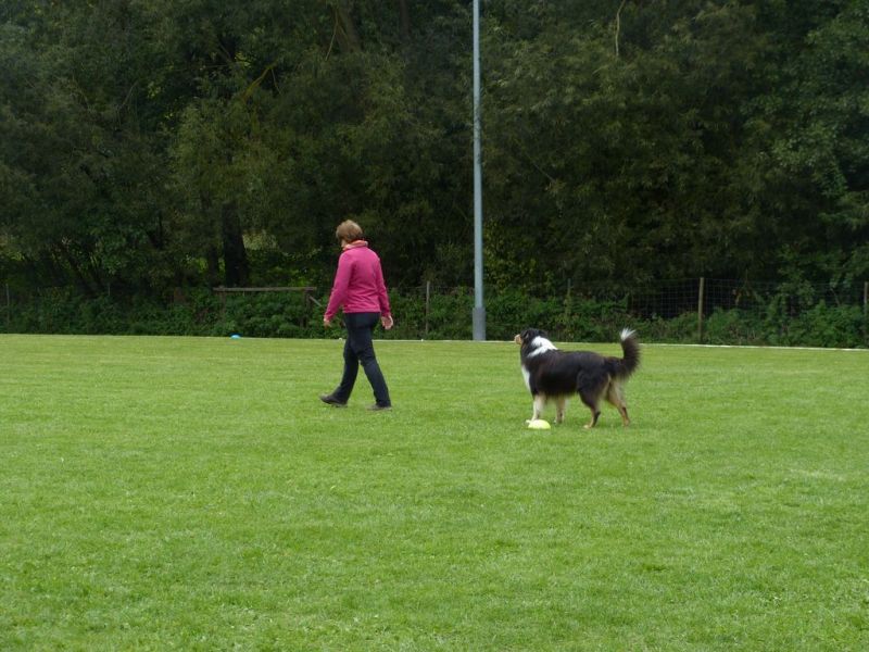 Obedience Prüfung 2015