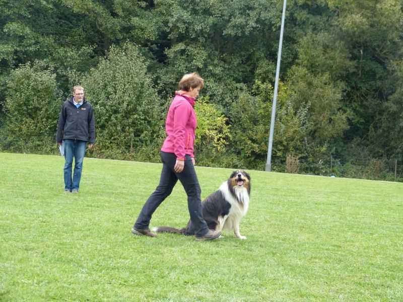 Obedience Prüfung 2015