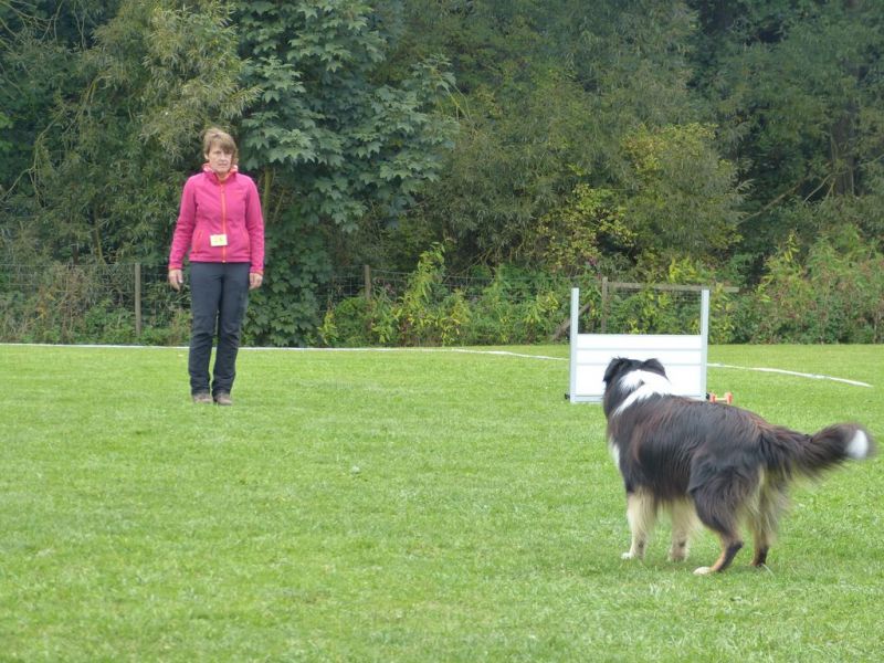 Obedience Prüfung 2015