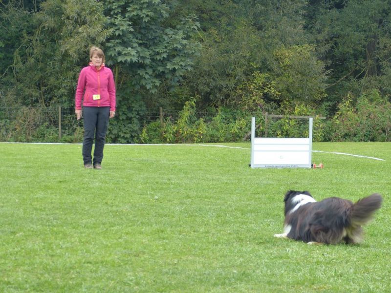 Obedience Prüfung 2015