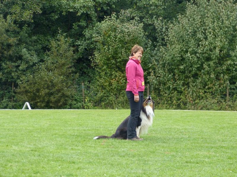 Obedience Prüfung 2015