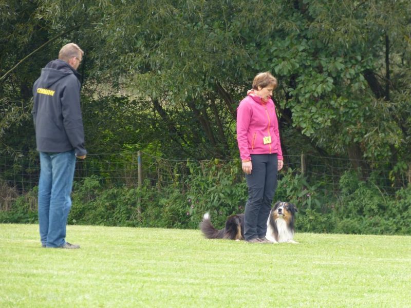 Obedience Prüfung 2015