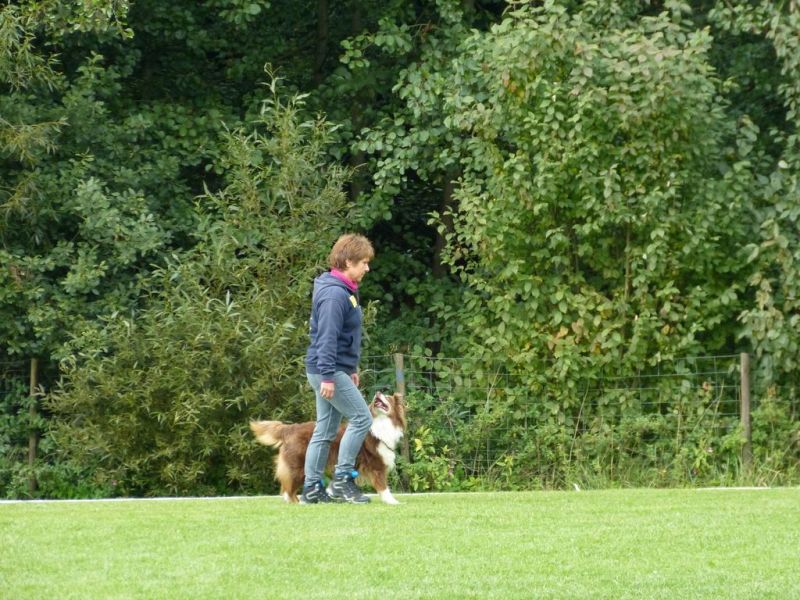 Obedience Prüfung 2015