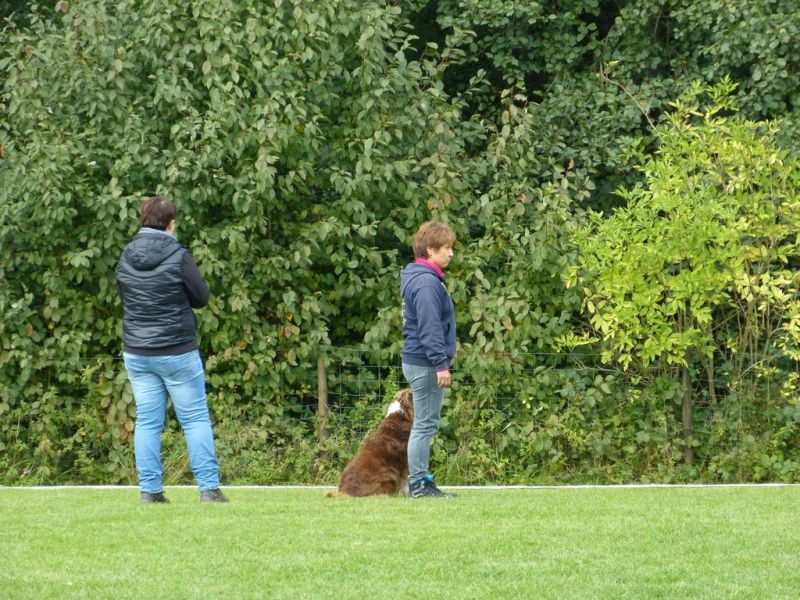 Obedience Prüfung 2015