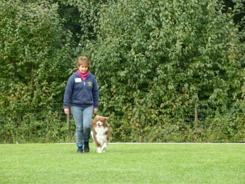 Obedience Prüfung 2015
